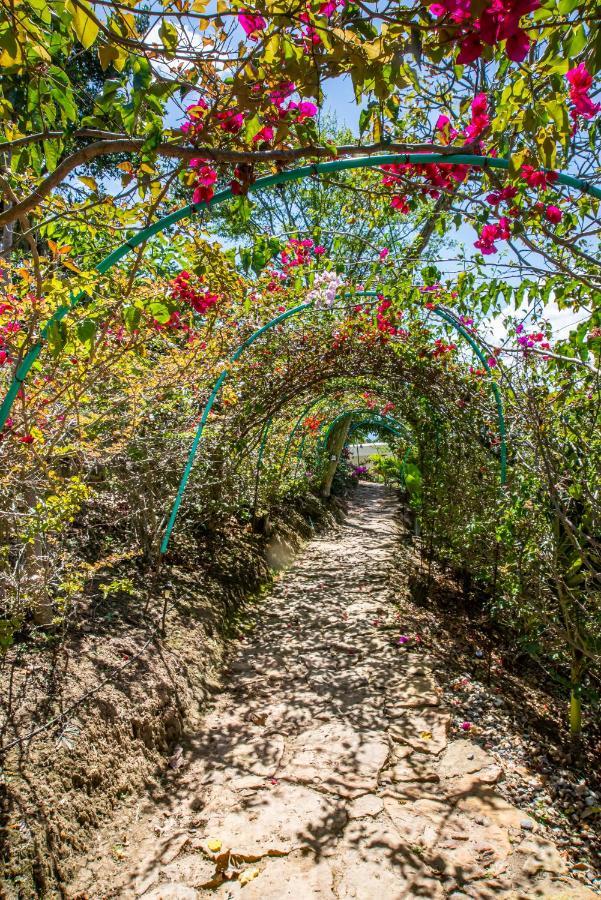 Sunset Palm Lodge San Gil Ngoại thất bức ảnh